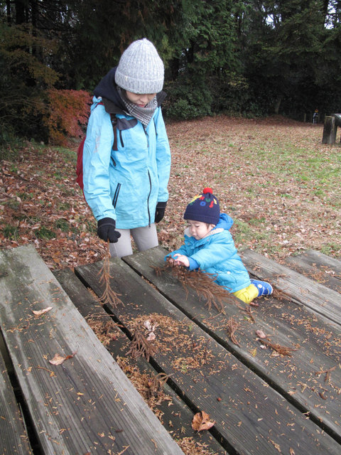 IMG_2514.jpg