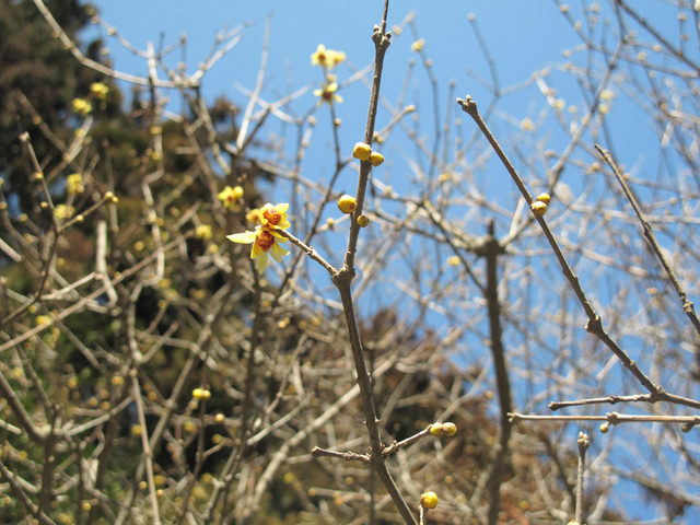 IMG_3565.jpg