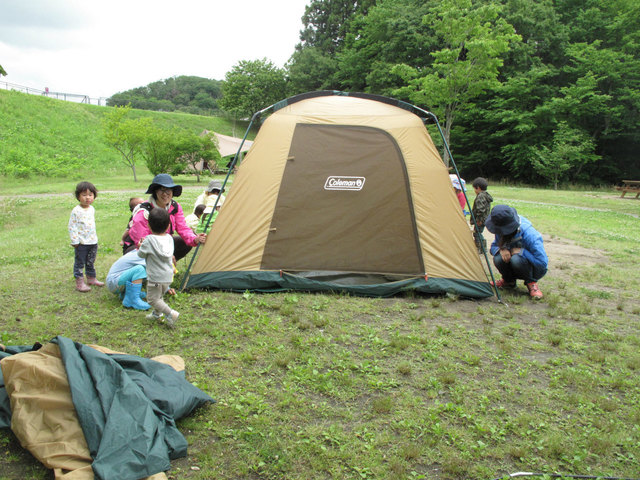 IMG_6887.jpg