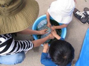 IMG_2889