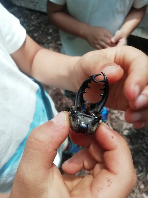 190726_3.jpg
