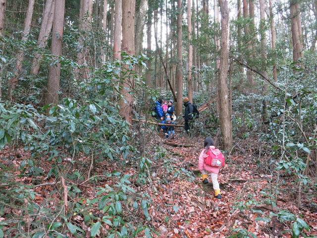 IMG_0800.jpg