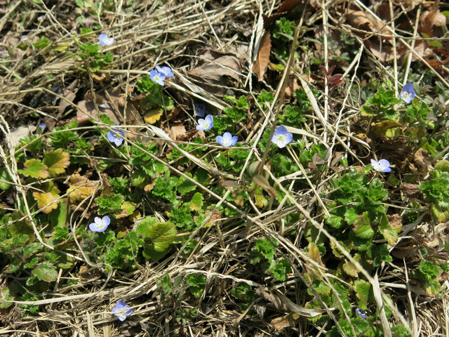 IMG_1167.jpg