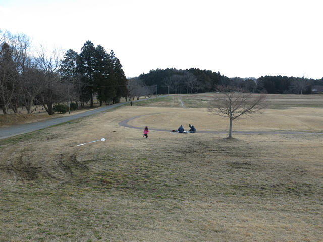 IMG_1560.jpg