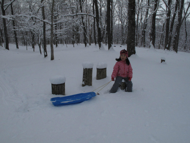 IMG_2584.jpg