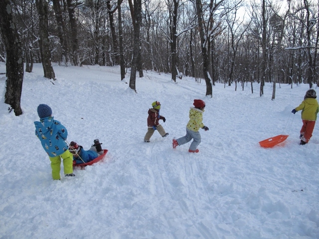 IMG_2730.jpg