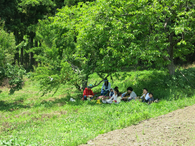 IMG_3617.jpg