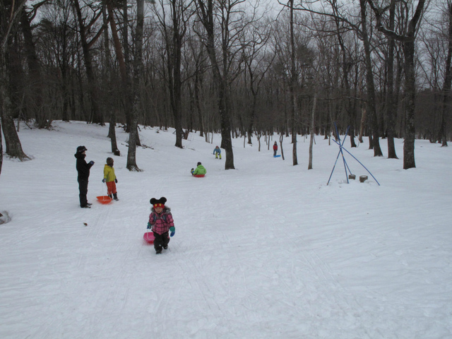 IMG_3641.jpg