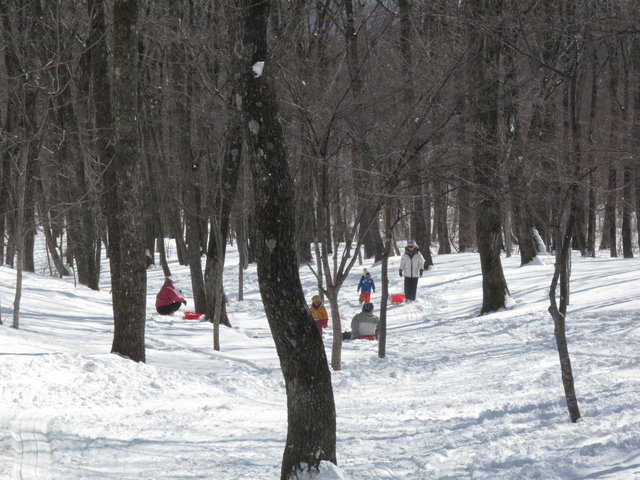IMG_3733.jpg