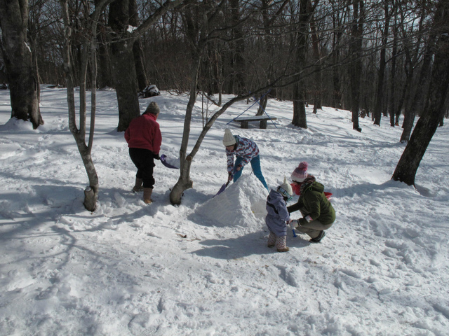 IMG_3739.jpg