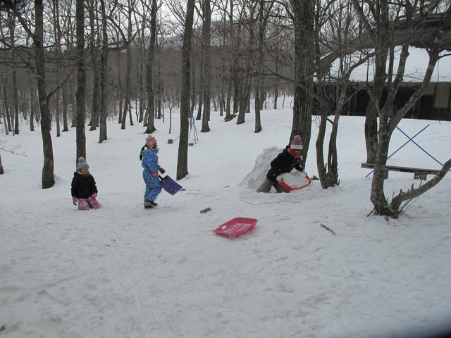 IMG_3864.jpg