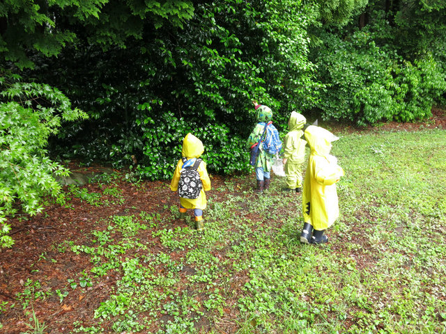 IMG_3994.jpg