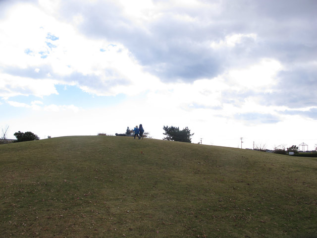 IMG_4134.jpg