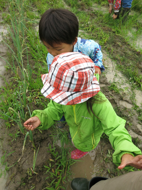 IMG_4334.jpg