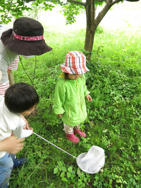 IMG_4340.jpg