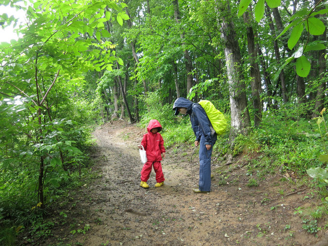 IMG_4367.jpg