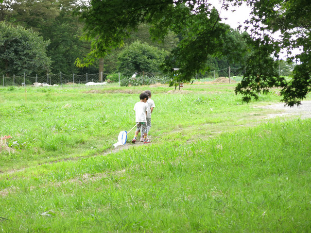 IMG_4863.jpg