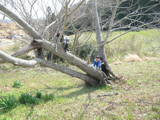 IMG_4916.jpg