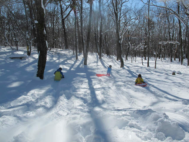 IMG_5154.jpg