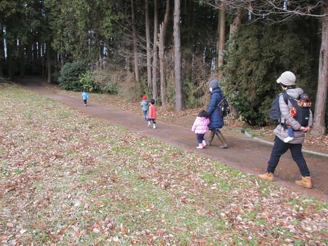 IMG_5272.jpg