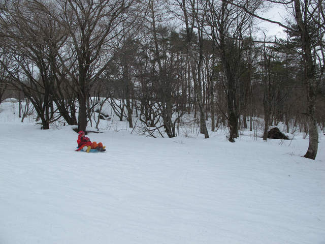 IMG_5353.jpg