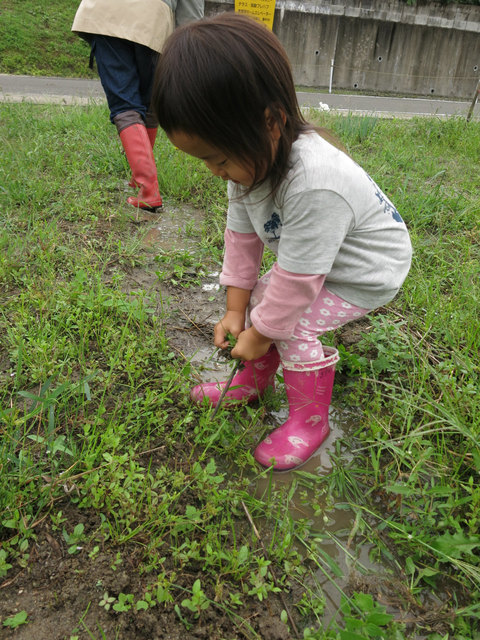 IMG_5795.jpg