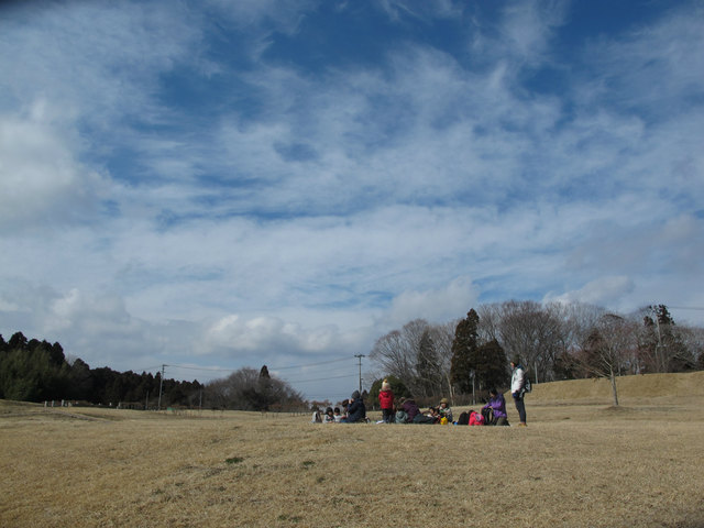 IMG_6010.jpg
