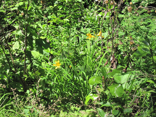 IMG_6367.jpg