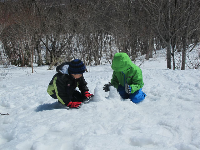 IMG_6531.jpg