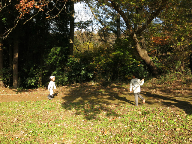 IMG_7437.jpg