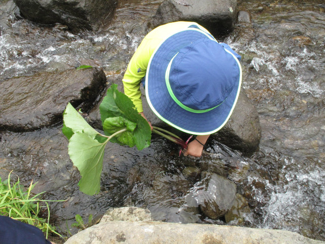 IMG_7450.jpg
