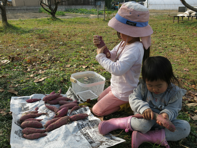 IMG_7516.jpg