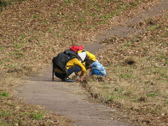 IMG_7866.jpg