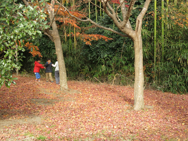 IMG_7889.jpg