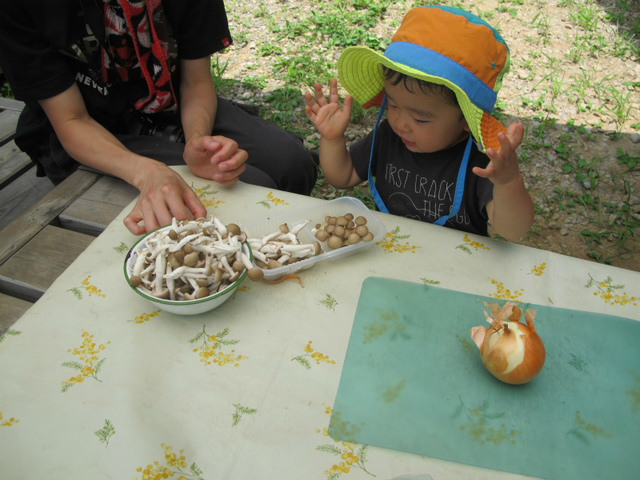 IMG_8152.jpg