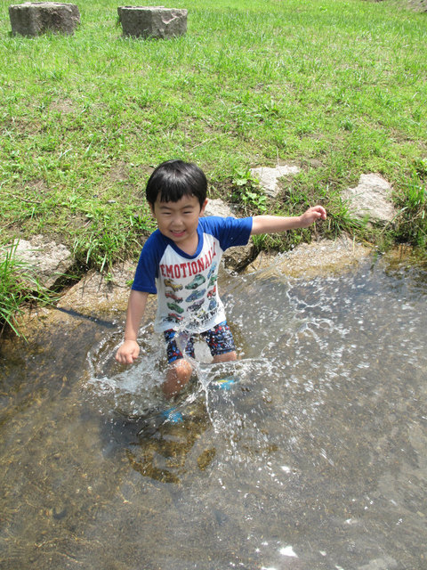 IMG_8374.jpg