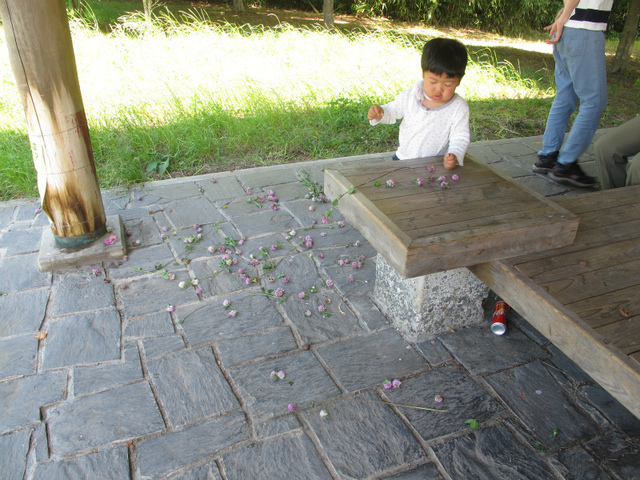 IMG_8375.jpg