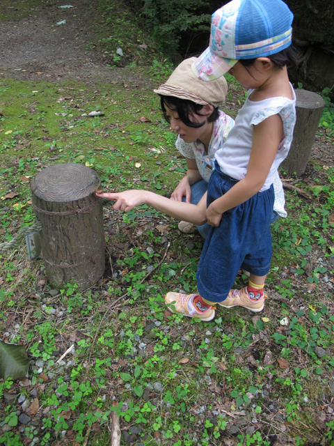 IMG_8547.jpg