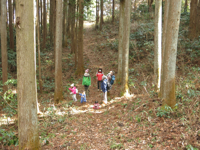 IMG_8945.jpg
