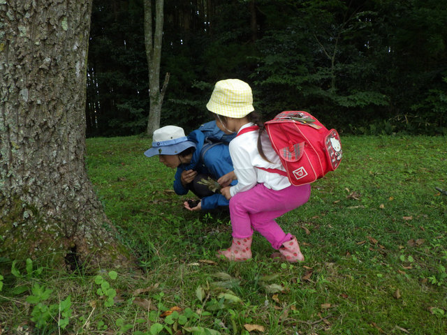RIMG0902.jpg