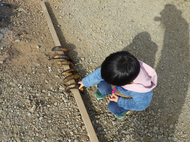 RIMG2664.jpg