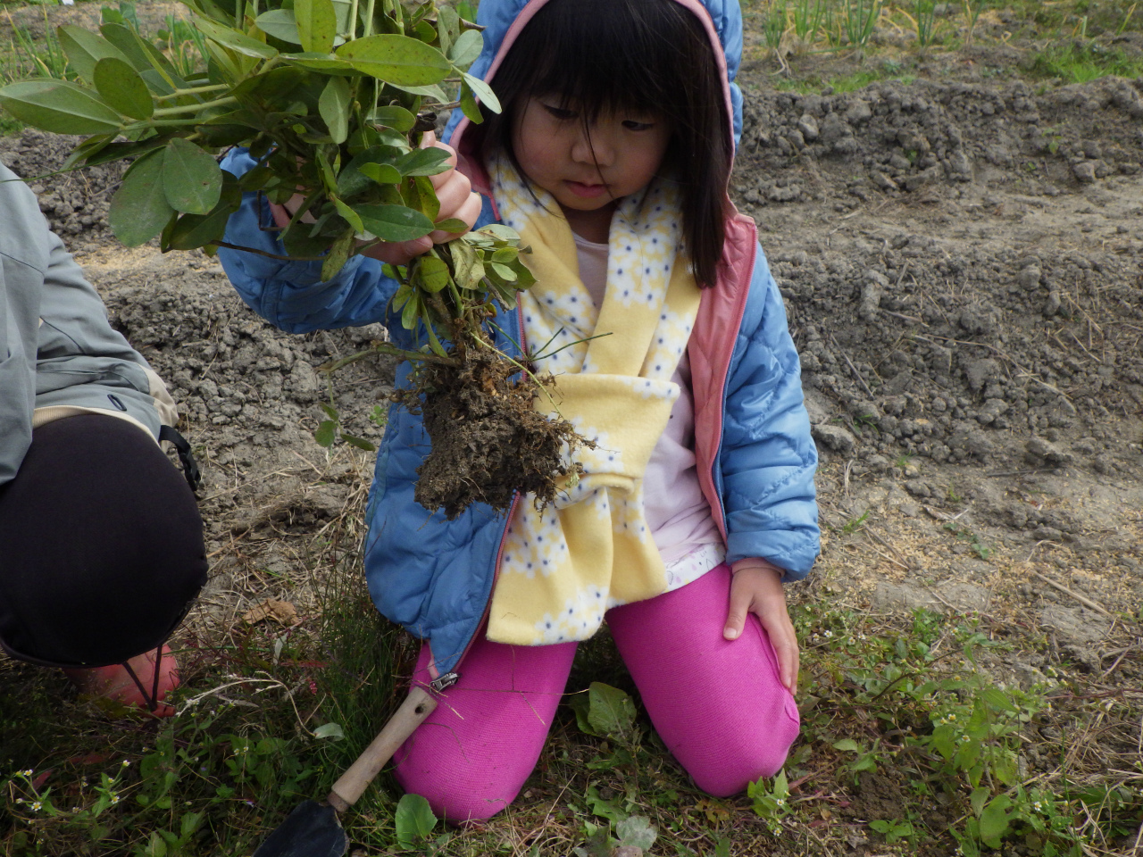 すぎる まわる やってくる季節に 森のようちえん虹の森 活動ブログ