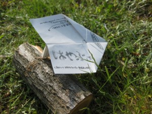 1-IMG_6425