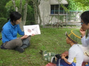 1-IMG_6968