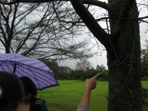 1-IMG_7422