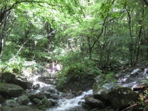 18-IMG_7587