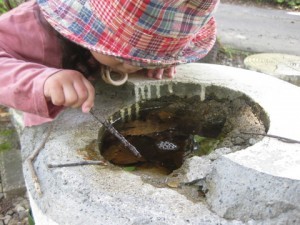 1-IMG_8429