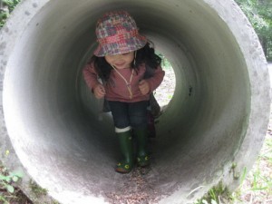 1-IMG_8484