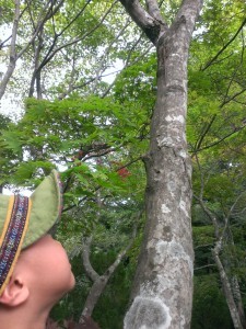 IMAG0144