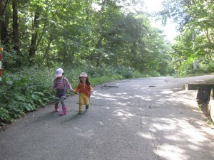 IMG_8413